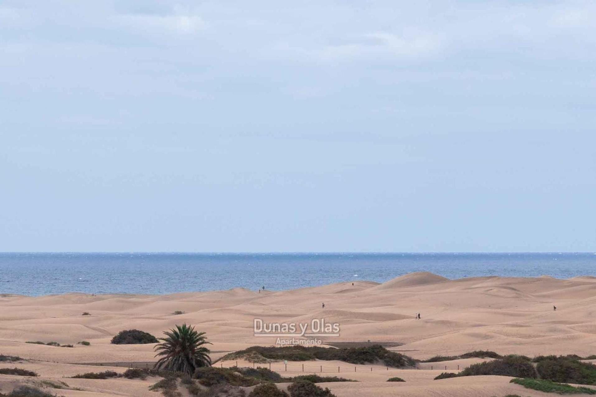 Dunas Y Olas Appartement *